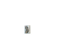 15-3542-SCREW for DELL -    Screw Set 15-3542