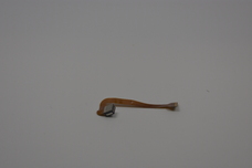 5C20J46494 for LENOVO -