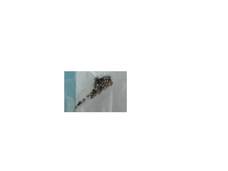 C201PA-SCREWS for ASUS -