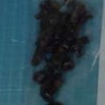 13-7353-SCREWS Dell Screw Kit I13-7353