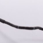 14005-02470500 Asus Cmos Cable Q505UA-BI5T7