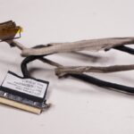 5C10K38954 Lenovo Lcd Display Cable 100S-11IBY 80R2001FUS ideapad 100s