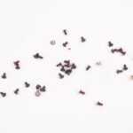CPS-78977 Samsung Screws Kit XE501C13-S01US