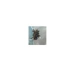 L55T-B5271-SCREW Toshiba Screw Set L55T-B5271
